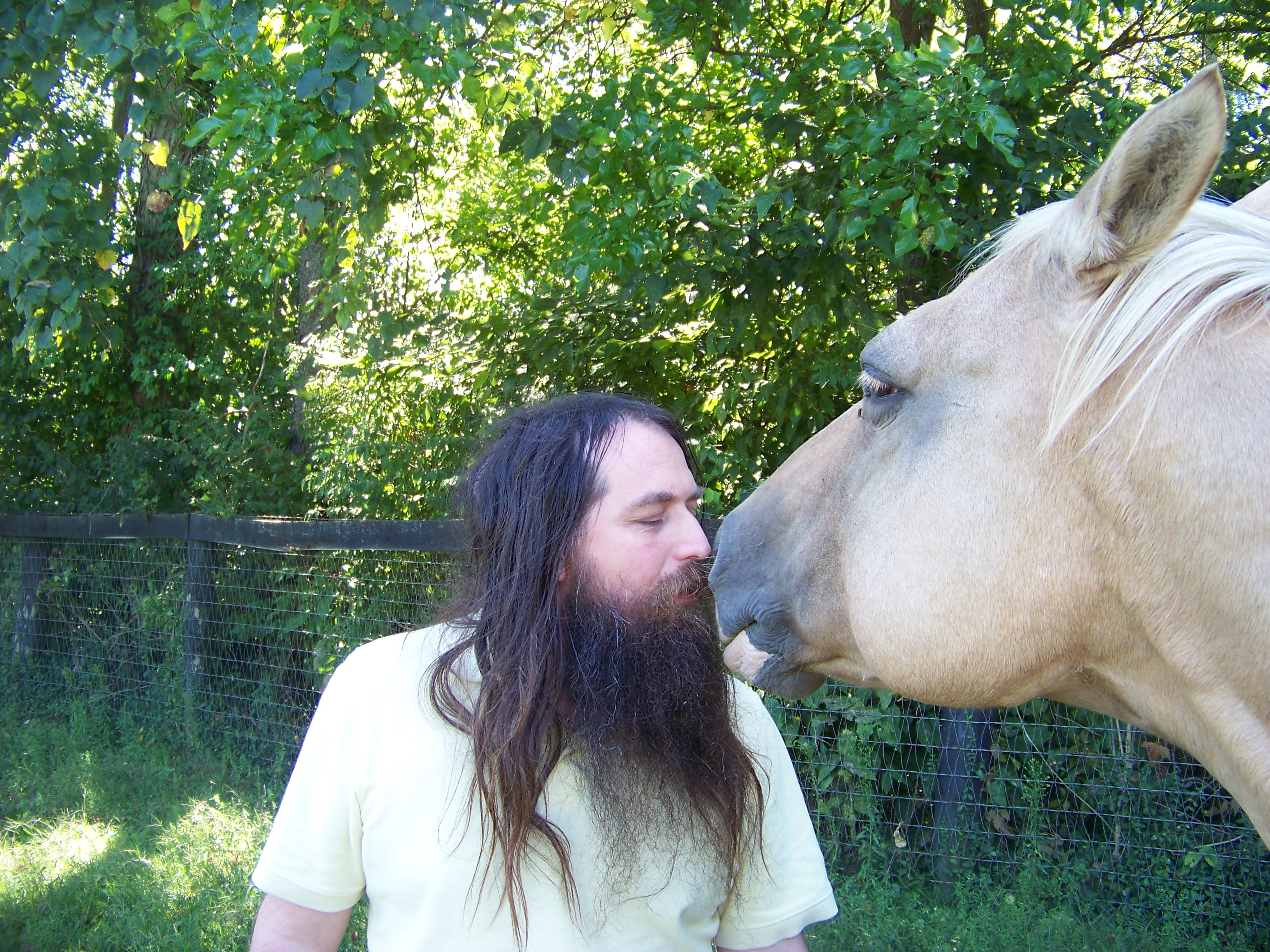 Sniffing a Palomino Horse that is Sniffing me